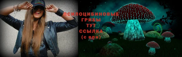 spice Армянск