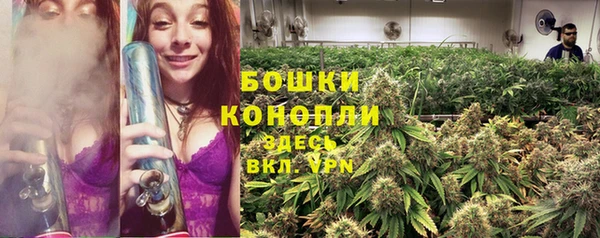 spice Армянск