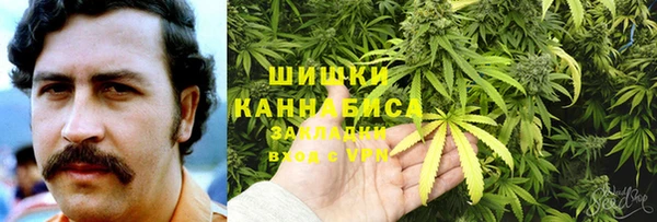 крисы Аркадак