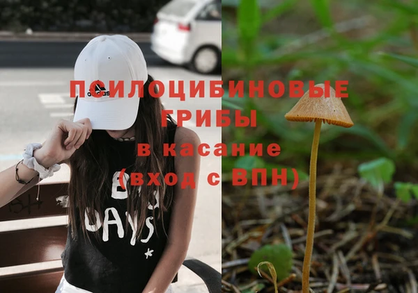 крисы Аркадак